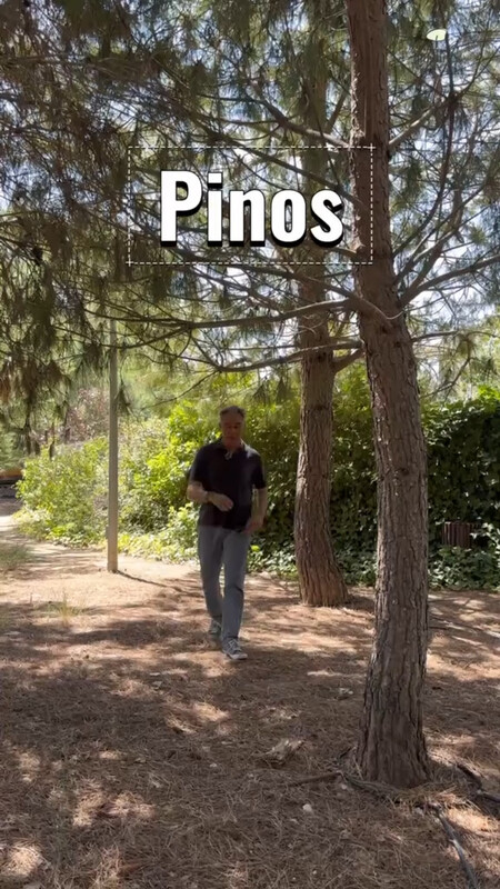 PINO
