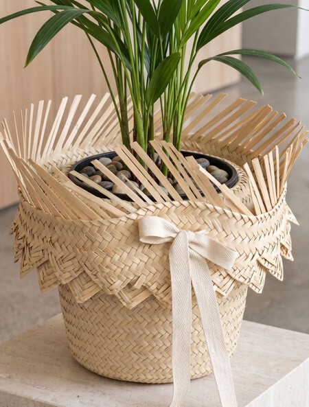 Cómo transformar un sombrero desgastado en una maceta para tus plantas y darle un estilo único a tu casa