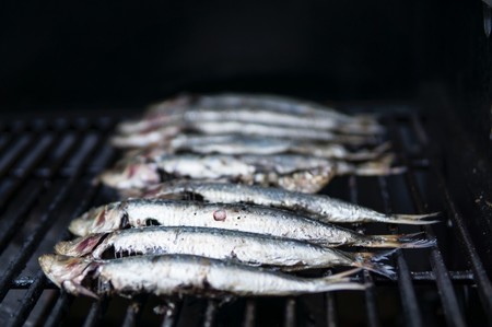sardinas