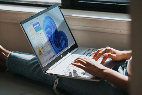 Windows 10 11 Usuarios