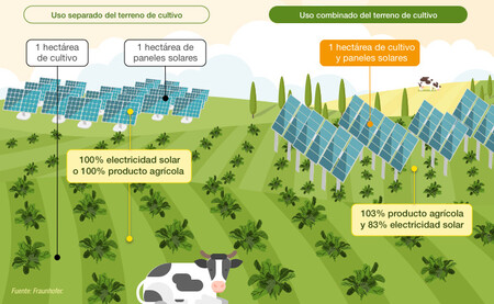 Infografia Energia Agrovoltaica Es