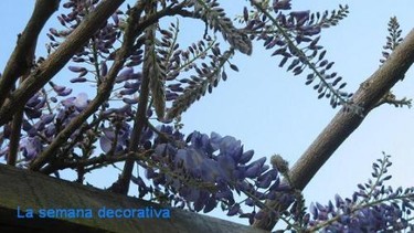 La semana decorativa XXXII