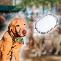 Los mejores rastreadores pequeños con batería de un año y multidispositivo. Uno me ayudó con un problema con mi perro
