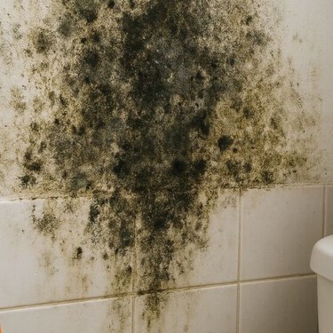 Cómo eliminar el moho del baño pegado en azulejos sin tallar para que queden brillantes