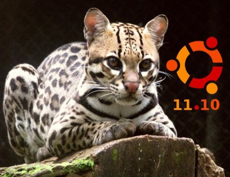 Ubuntu 11.10 Oneiric Ocelot lanzado y listo para descargar