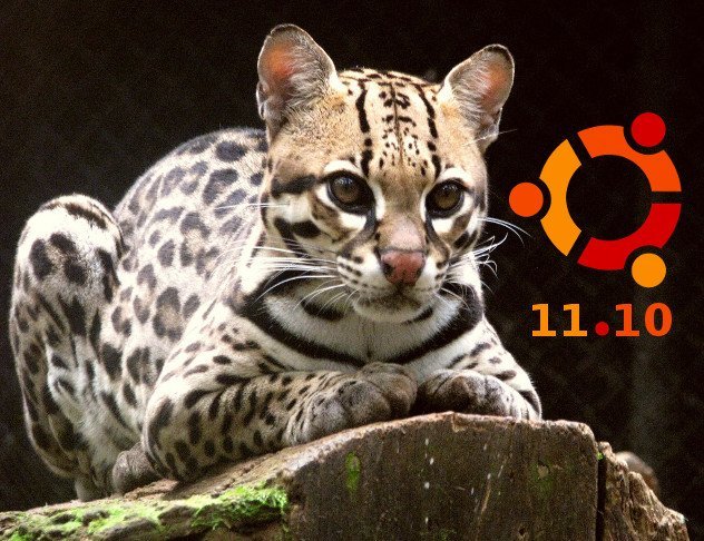 lanzamiento-oneiric-ocelot