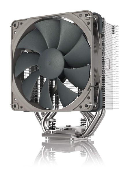 Noctua