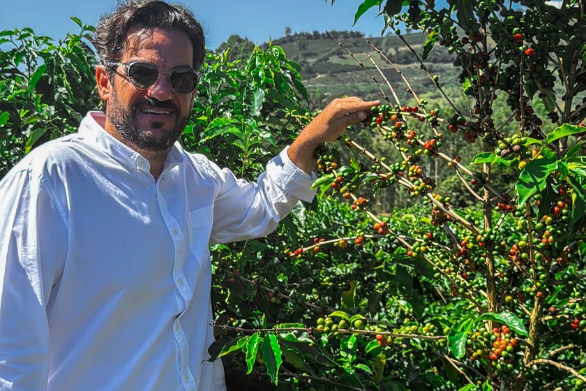 Cafetero