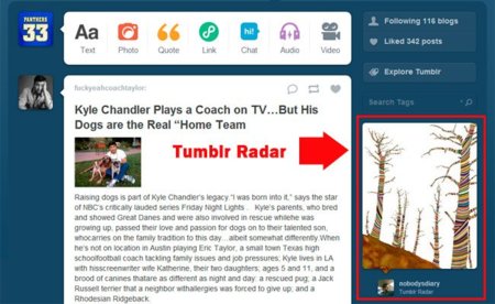 Tumblr y su eterna búsqueda de monetización: ahora venderá espacios publicitarios a las marcas