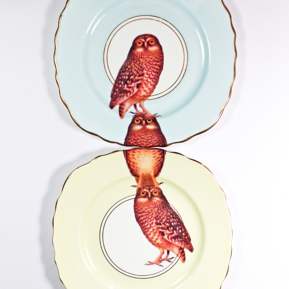 Foto de Yvonne Ellen (8/28)