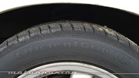 Goodyear EfficientGrip, prueba de larga duración