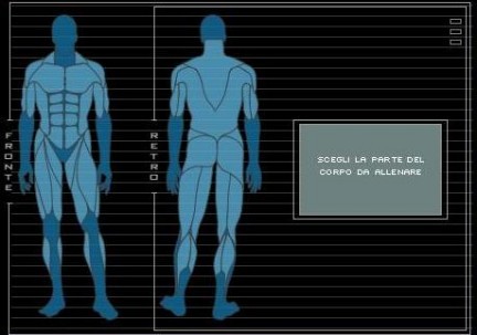 Virtual trainer: para entrenar tus músculos online