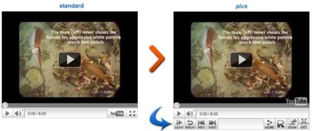 EmbedPlus, mejora la interfaz de tus vídeos en YouTube