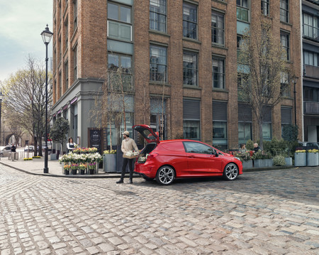 Ford Fiesta Van