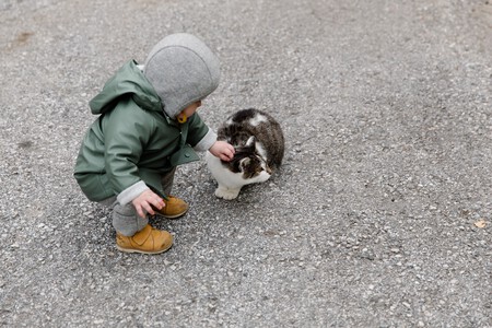 niño-gato-caricia