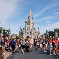 Los trabajadores de Disneyland hablan en códigos secretos para no asustar a los visitantes. Estos son los que preferirías no oír