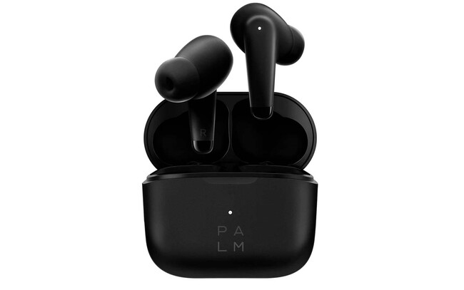 Palm Buds Pro