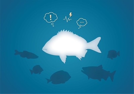 Se demuestra por primera vez que los peces tienen estados emocionales