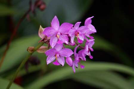 Costa Rica Anabel Palomares 26