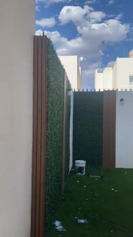 Videoframe 10482