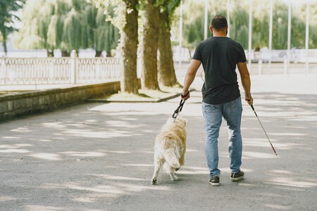 perro-guía-asistencia