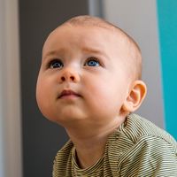 Cuidados del recién nacido: cómo limpiar la nariz del bebé