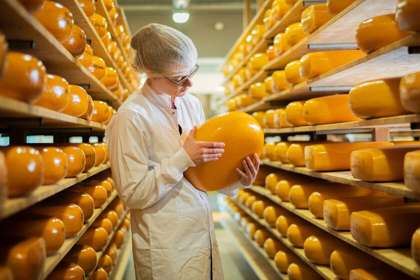 Elaboracion Gouda C Beemster