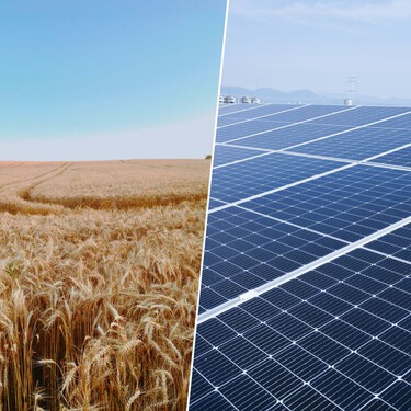 Este agricultor sevillano se estaba arruinando hasta que cambió el trigo por placas solares: “Antes ganaba 100 euros, ahora me pagan 1.900”