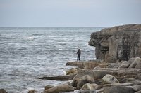 La metáfora del pescador impaciente