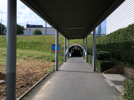 Caminando Entre Terminales