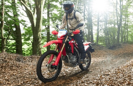 Honda Crf250l 2021