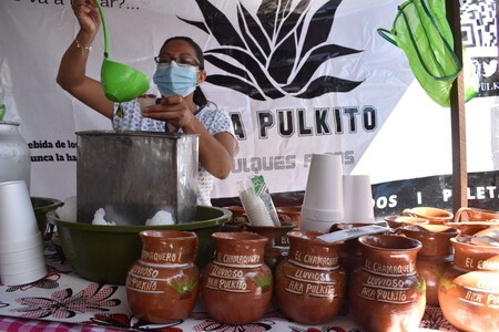 Date una vuelta por el paraíso del curado y el consomé: no te pierdas la Feria del Pulque y la Barbacoa 2026 en CDMX 