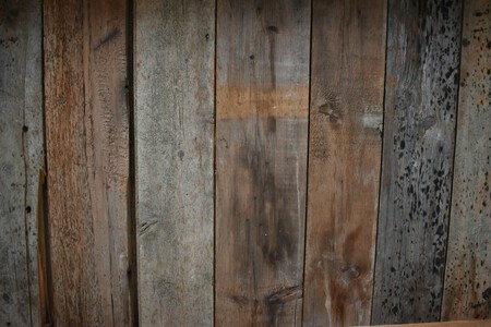 Emile Dionne Bo6 7a5lf4 Unsplash