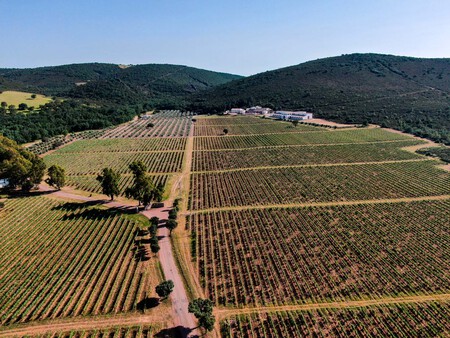 Finca De Dehesa Del Carrizal
