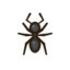 Ant