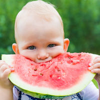 Baby Led Weaning: 17 alimentos fresquitos y nutritivos para el verano, y cómo ofrecerlos  a tu bebé