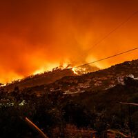 Un experto forestal tiene claro el problema de España: "Hemos acumulado combustible y aumentado la probabilidad de incendios extremos" 