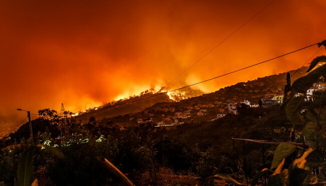 Incendio Forestal