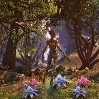 Nintendo Switch 2 consiguió lo que PlayStation y Xbox no pudieron: Bethesda optimizará el remake de The Elder Scrolls IV en todas las plataformas 