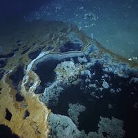Cientistas encontraram um “lago” no fundo do oceano. E ele é tão tóxico quanto fascinante