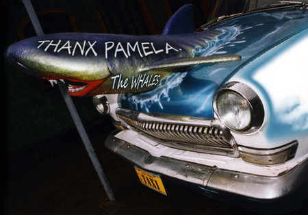 Volga Whalewatch Penisguard