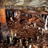 Una cueva de España sellada durante 16.800 años conserva una vivienda de la Edad de Piedra con 4.614 objetos