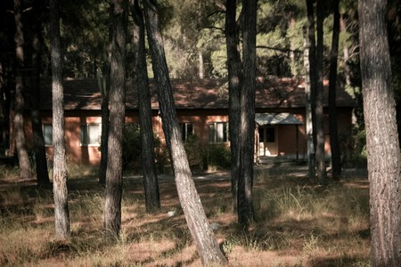 Pexels Aysegul Aytoren 46790226 18508967