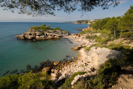 cala