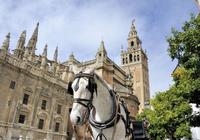 Vacaciones de Semana Santa en Sevilla con los niños