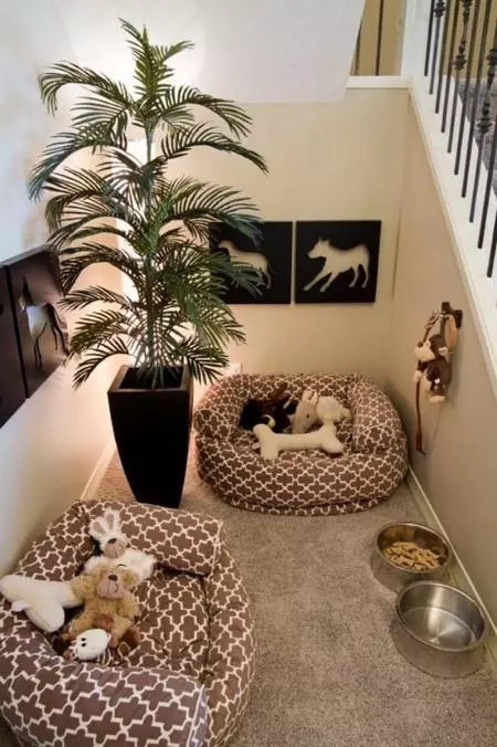 Mascotas: decora su rincón