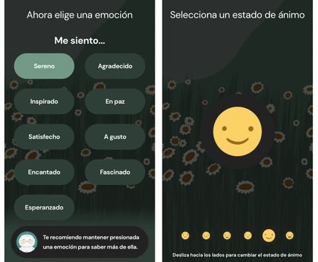 ヤナ・センセーションズ