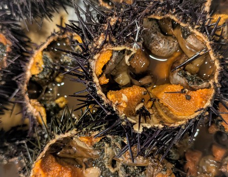 Pxl 20260113 201204235 Edit