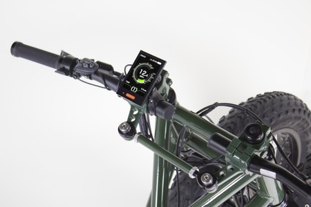 Rungu Bici Electrica Tres Ruedas 1