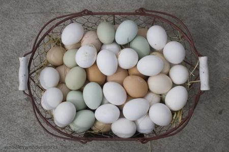 Cuando se trata de proteína ¿cuánto es demasiado?